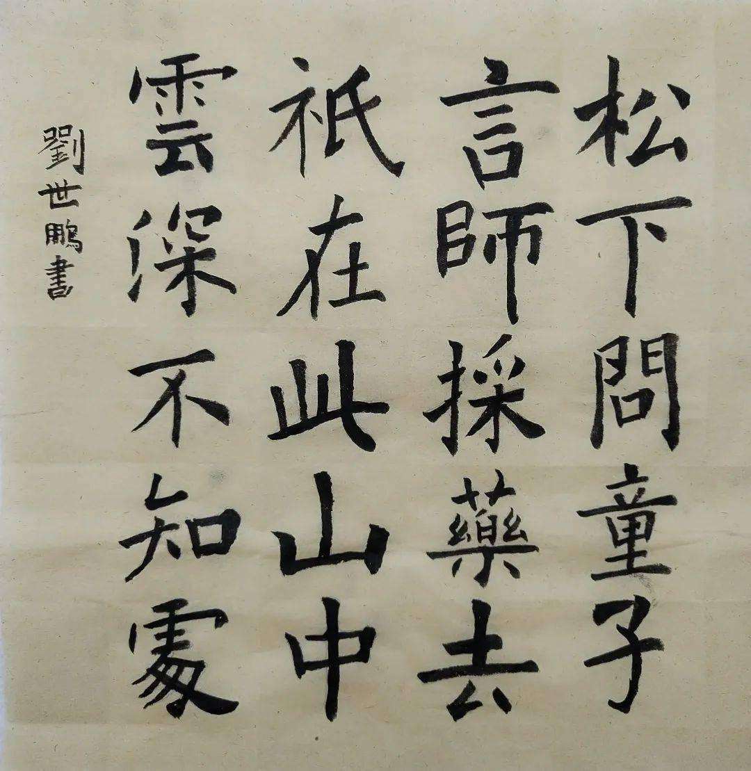 刘世鹏 10岁刘依晨 10岁马媛熙 11岁谭珞妍 12岁王琼辉 11岁向娣乐