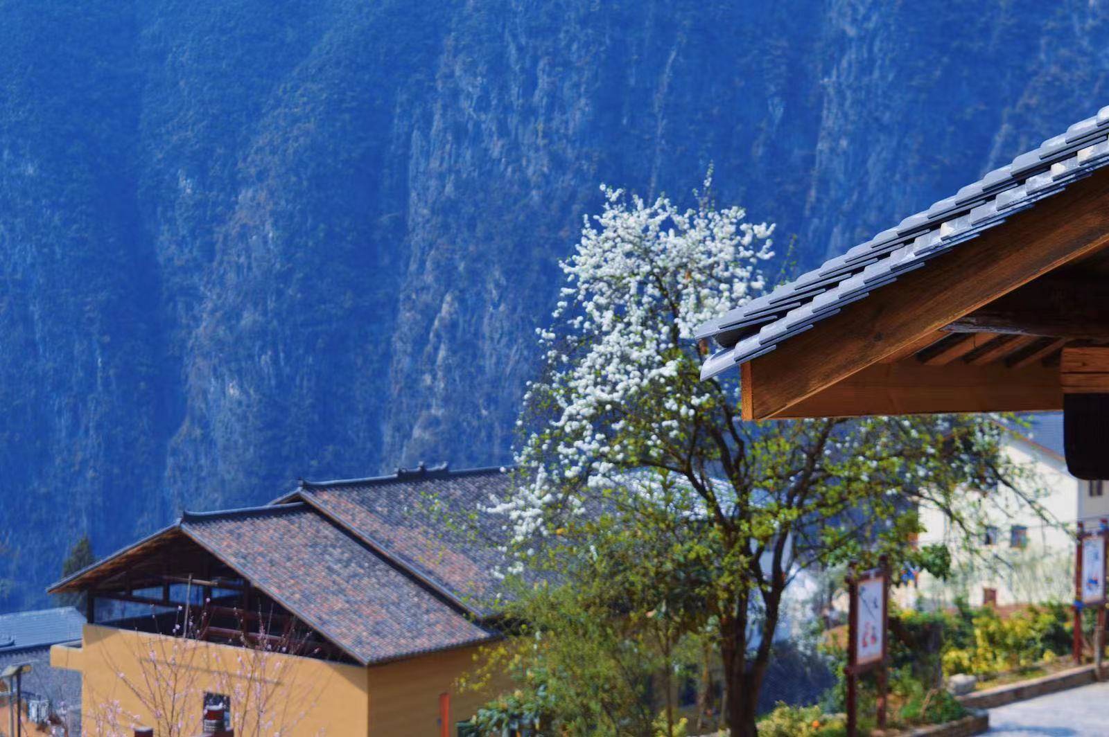 党代表说党代会②毛相林继续发扬下庄精神精心绘就乡村振兴的壮美画卷