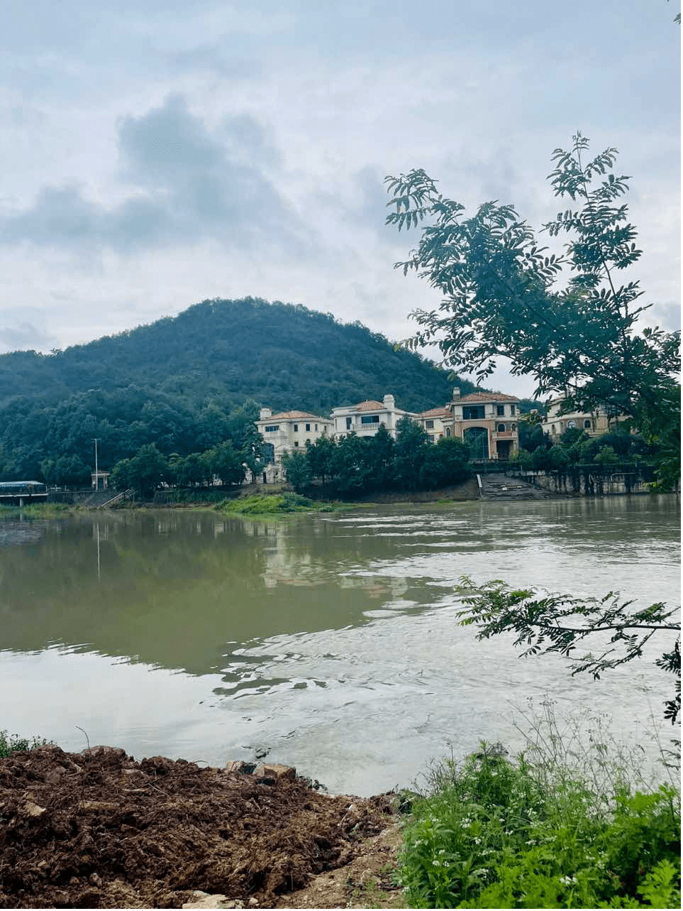 永康白垤里星月湾图片