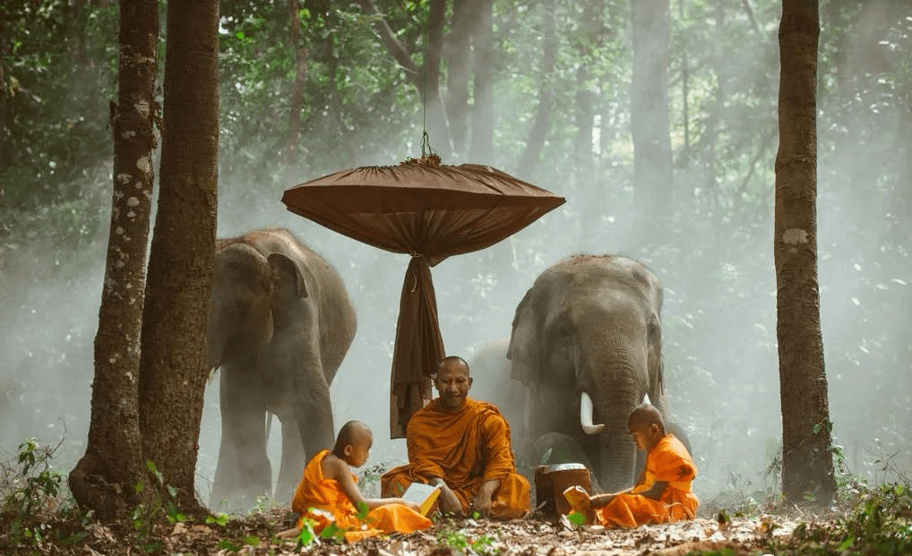 两个和尚的对话受益匪浅渡了无数人