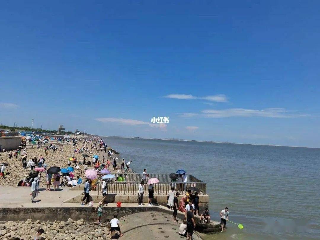 提醒|6月3日起 塘沽东疆亲海公园实行预约制入园_游客_游园_微信