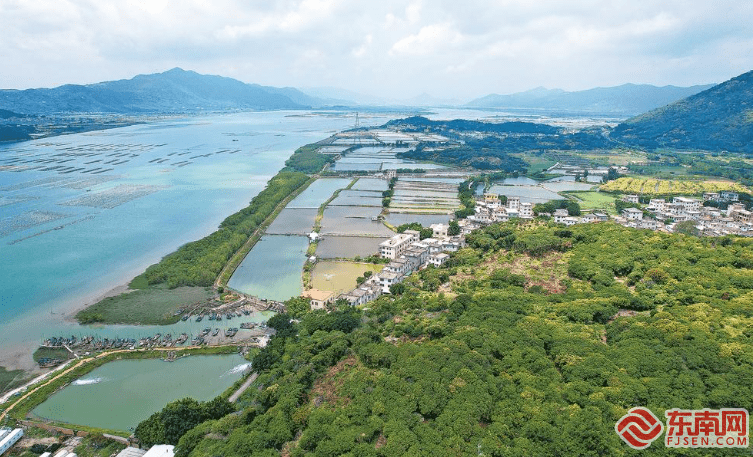 沙西红蟳:江海之间的富民美味_沙西镇_捕捞_螃蟹