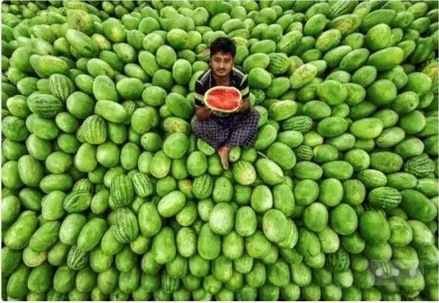 摄影美学丨用摄影作品来认识形式美