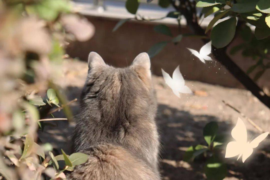 去过六一吧去过不被定义的六一_我要过六一_胡钰佳_童话