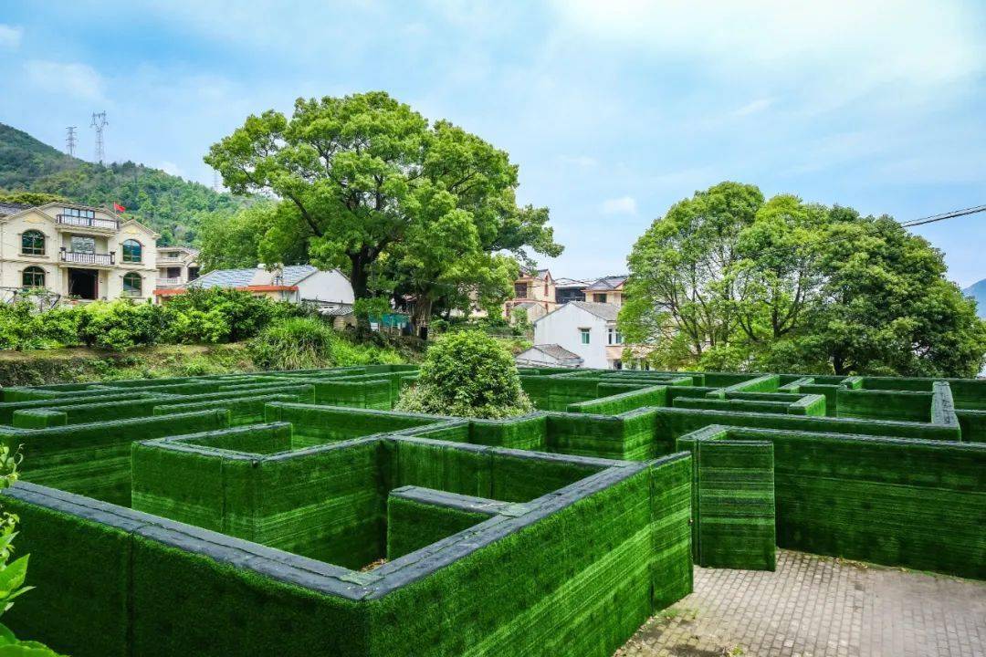 爱上普陀的n个理由端午不知道去哪玩那就去干施岙吧
