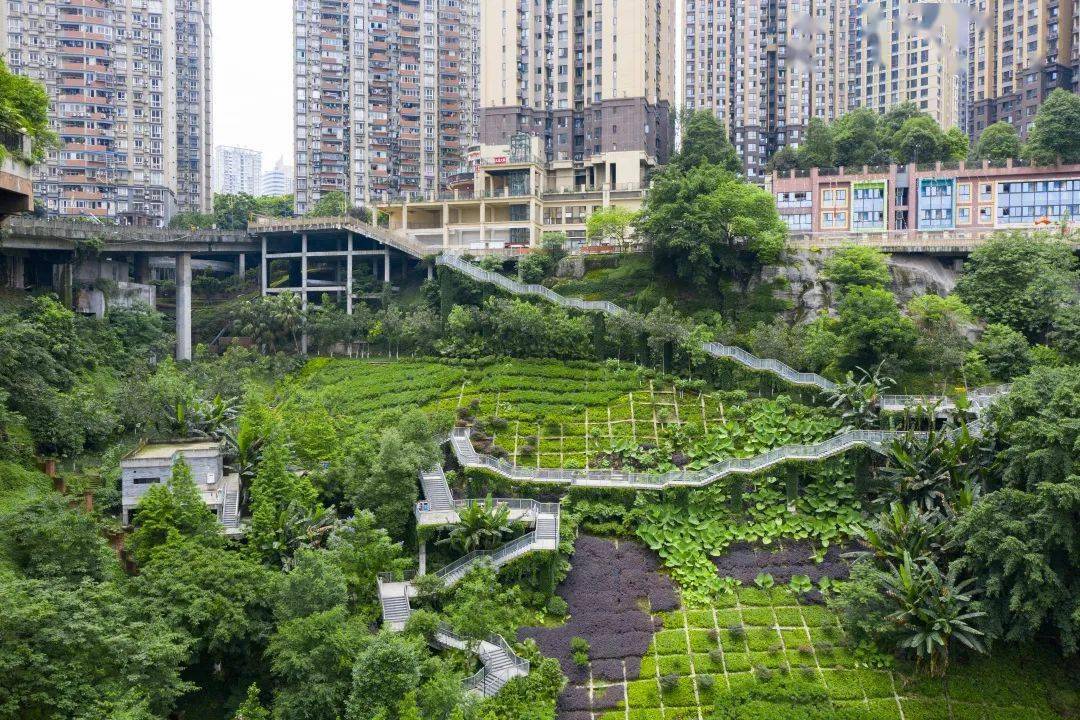 地处落差近70米的陡坡之上位于渝中区的下肖家湾公园一些公园在修建时