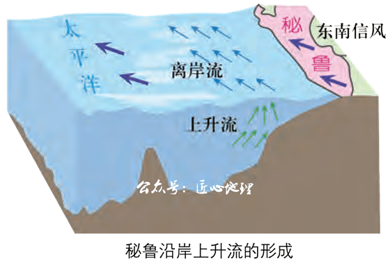 中,表层海水逐渐偏离海岸,从而导致下层海水上泛的现象,形成上升流