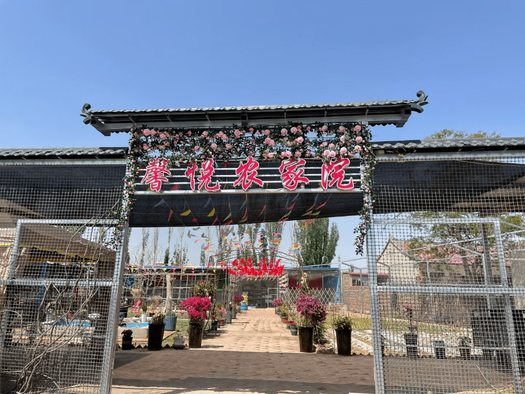 爱上银川银川周边平价又好玩的农家乐吃的天然耍的舒服