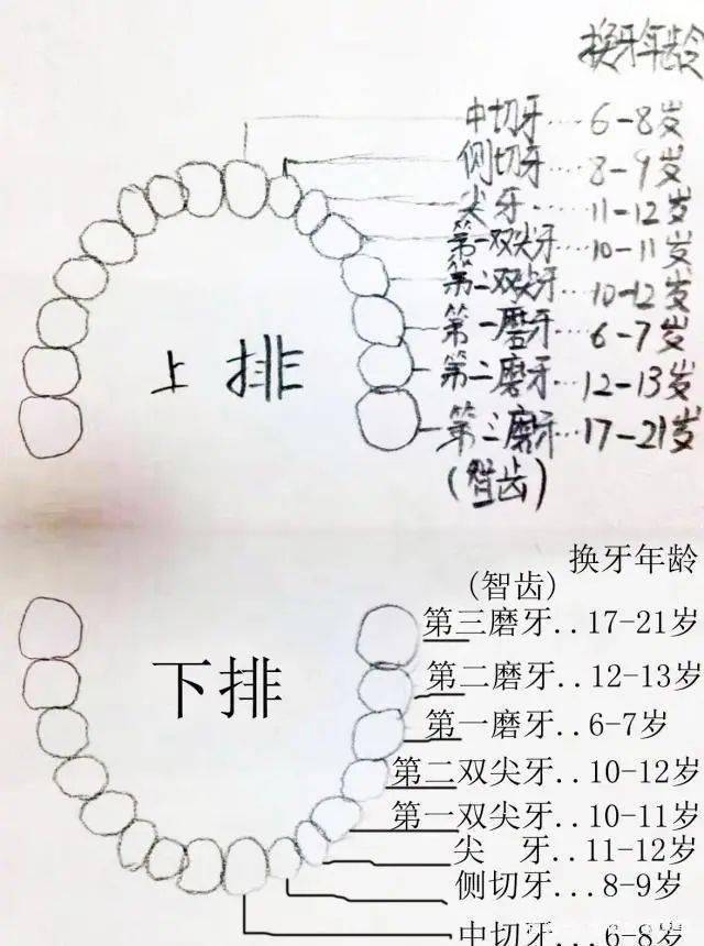 越來越多的孩子長著奇怪的牙齒我希望你家沒有