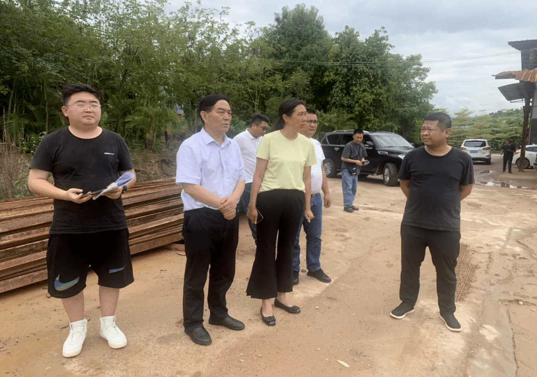 双江县人民政府副县长杨光明,自然资源局,综合执法局及相关乡镇领导