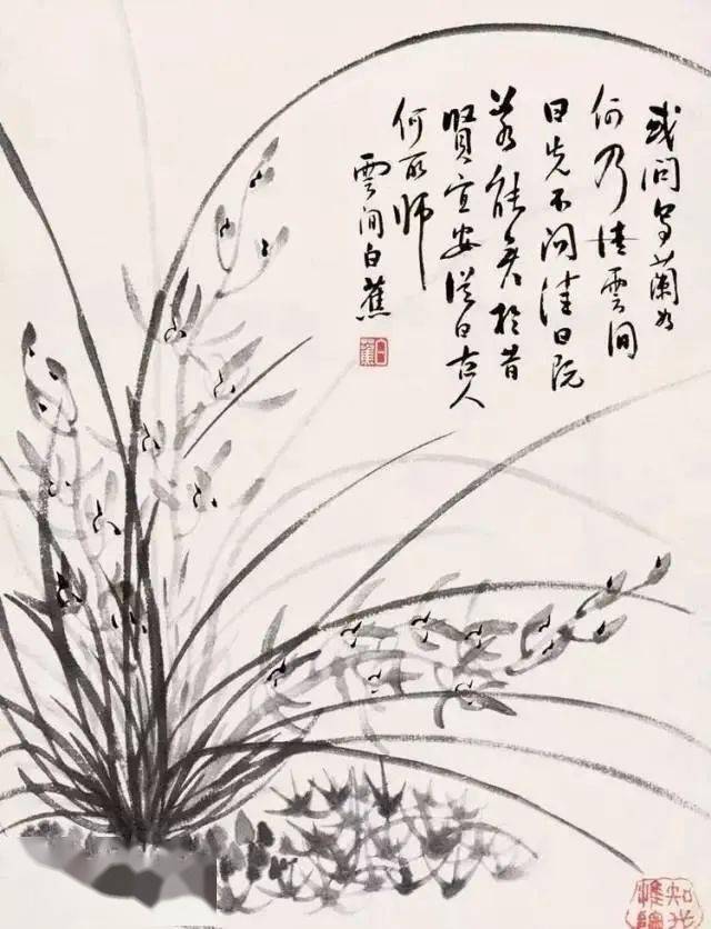 白蕉画兰 ,百看不厌_兰花_书法_上海