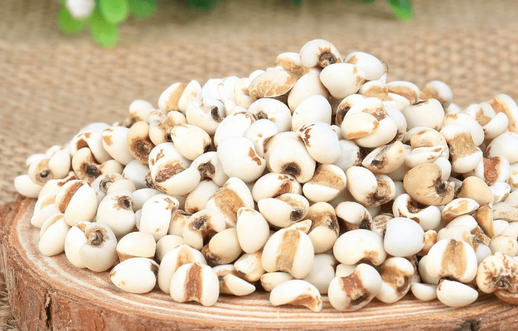 薏米这么吃,清热祛湿,养胃健脾!夏天你可千万别错过了~_功效_食用_肌