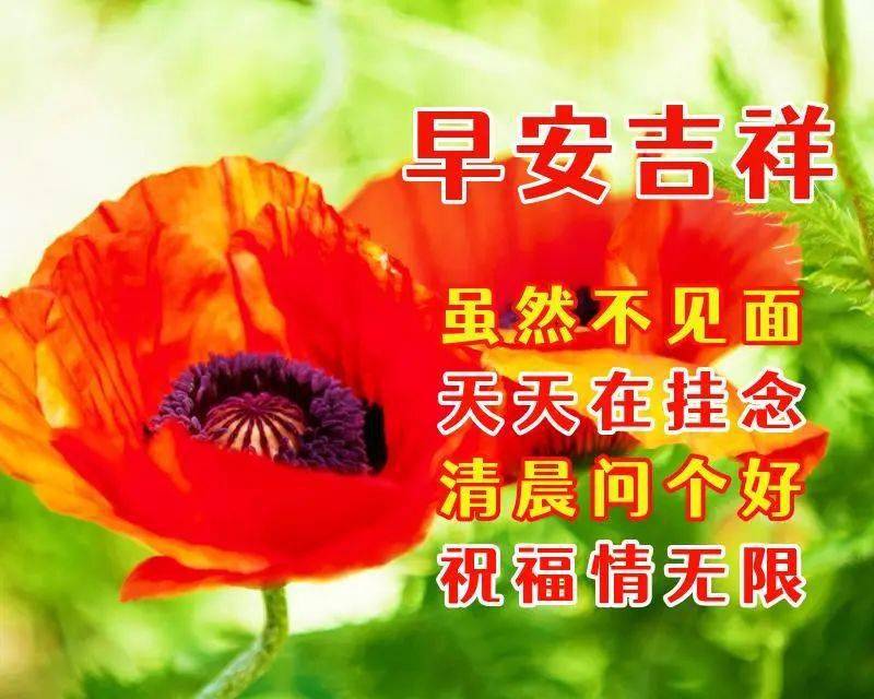 早安漂亮圖片溫馨祝福