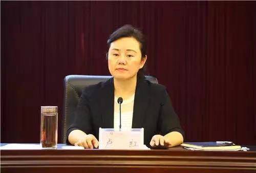 卢红已任重庆市委统战部部长，市政协党组副书记_武隆_显示_领导