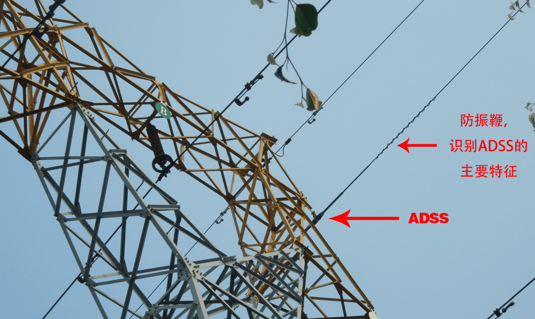 咱们去现场踏勘都是去看什么