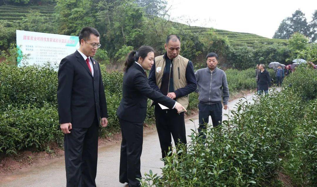 点赞武夷山最高人民法院发布第三批新时代人民法庭建设案例