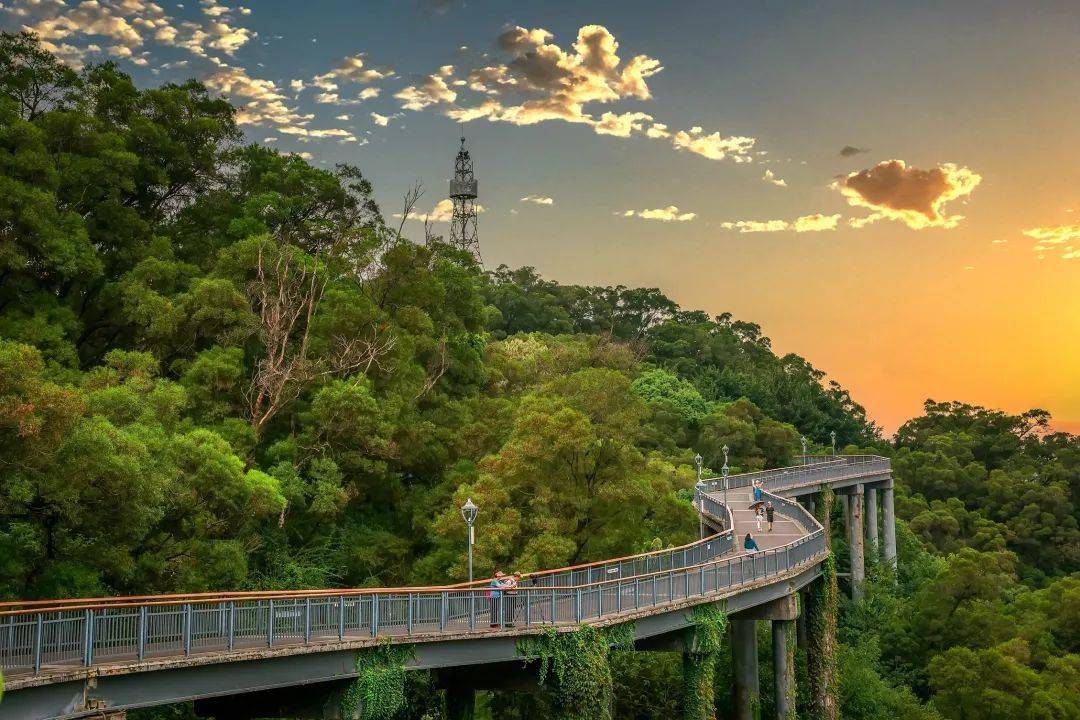 福道弯弯 幸福绵长_福州_城市_步道