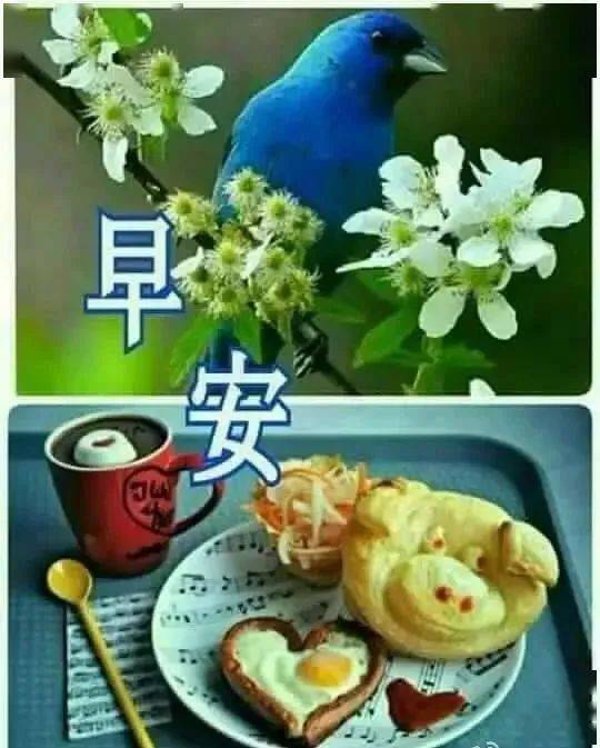 祝福短句早上好图片