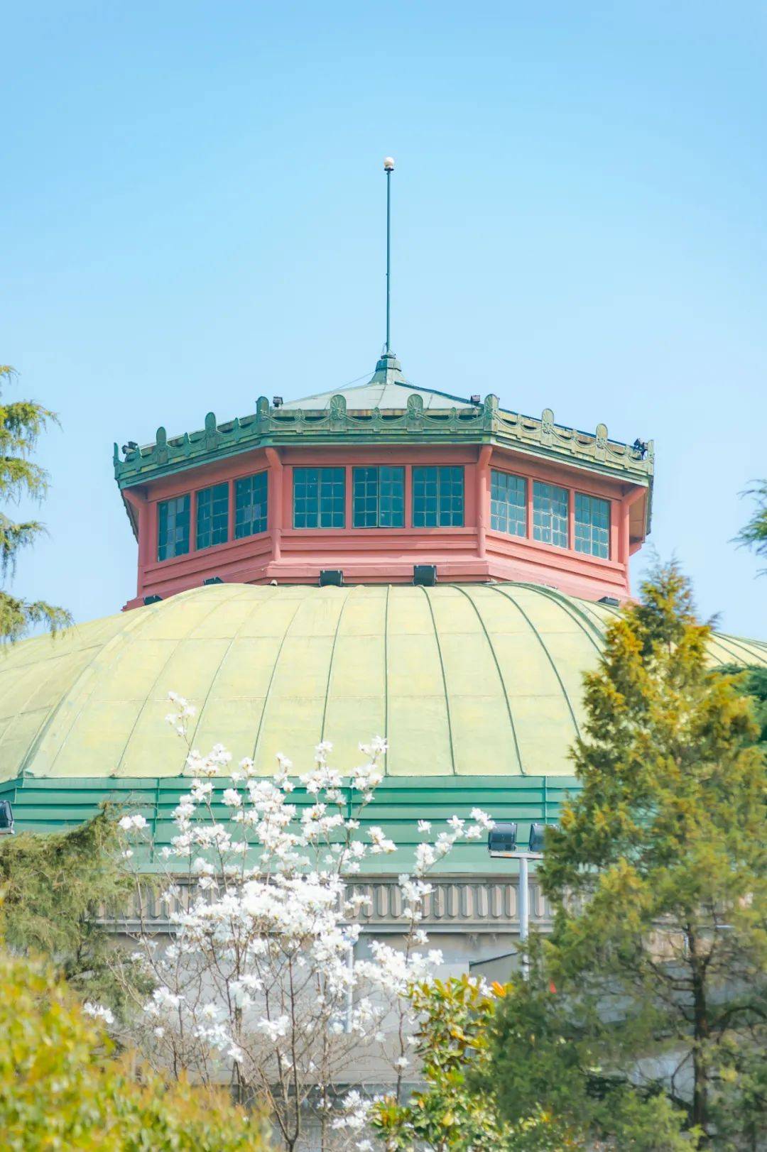 东南大学生日快乐