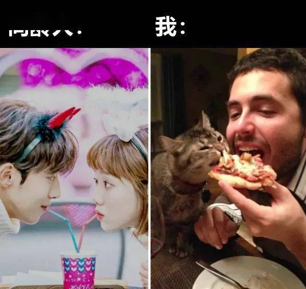 30张猫咪搞笑meme图,最后一张有毒!_熊孩子_区扣_都懂