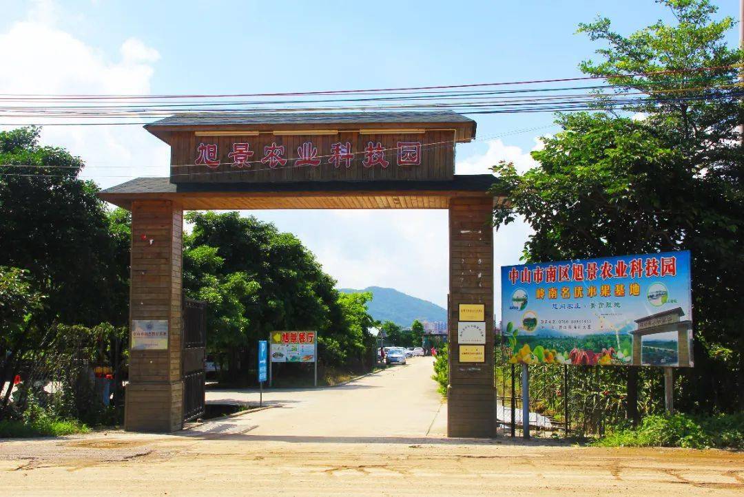 打造一家多样性生态观光新旅游胜地推出全域旅游之旭景农