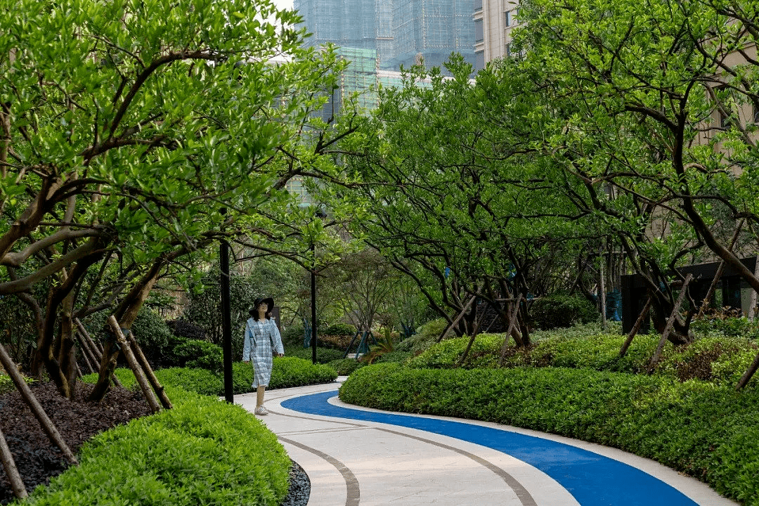 干货丨园路/巷道绿篱的种植形式_变化_草坪_空间