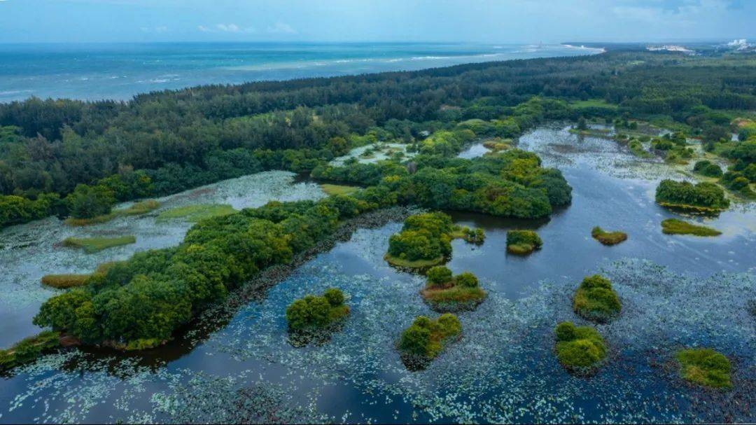 昌江海尾湿地公园图片