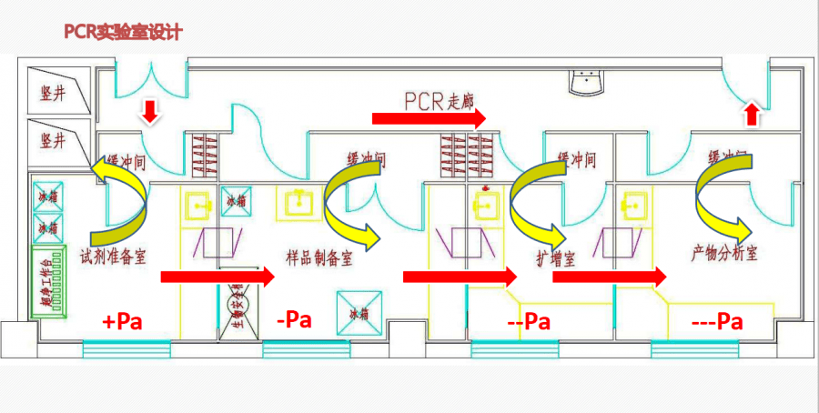 核酸采集室布局图片