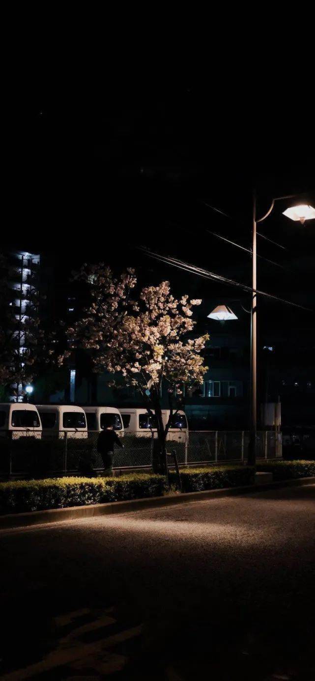 每日壁纸ins风高级小众壁纸手机高清全屏壁纸