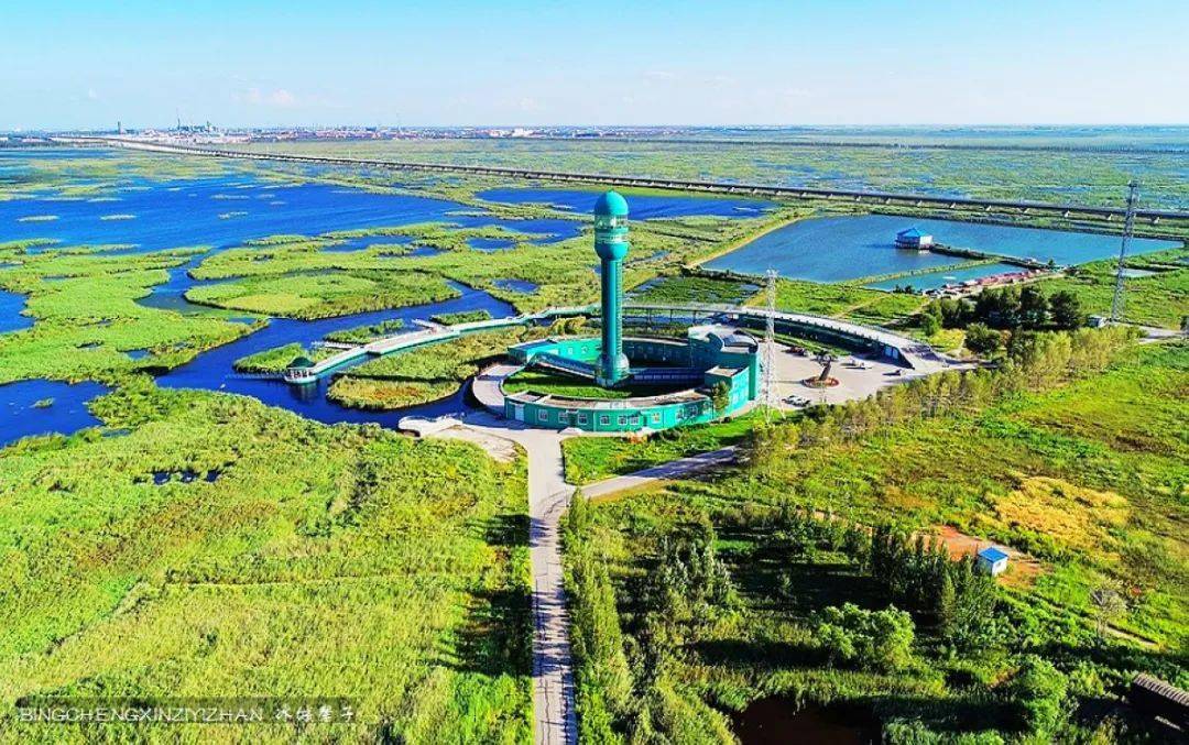 大庆龙凤湿地百湖之城-大庆滨江湿地方正罗勒密鸳鸯峰黑龙江植物园