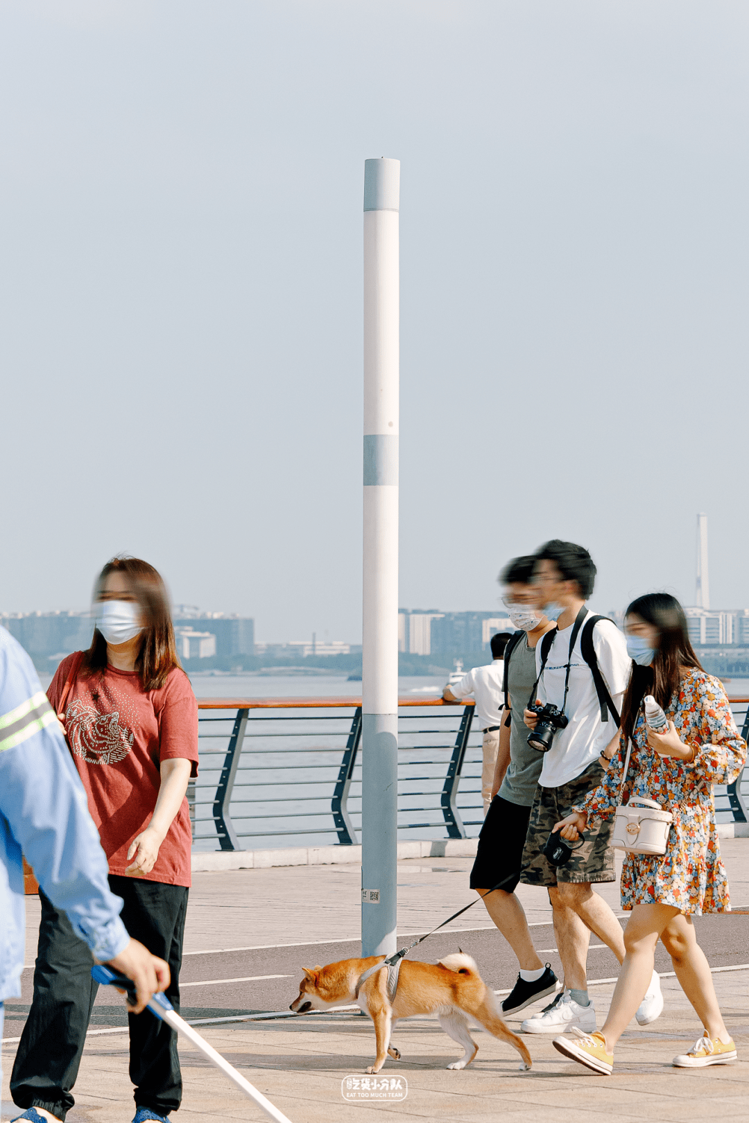 上海人在徐汇滨江报复性野餐
