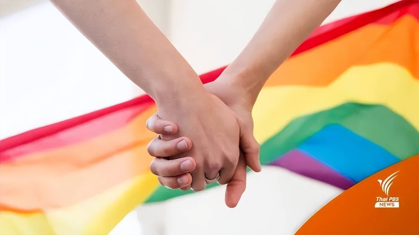 声明如下?外籍同性恋伴侣泰国寻代孕"头头是道""-小宝网