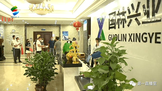 国林系多家公司涉非吸被立案 曾以假材料冒充国