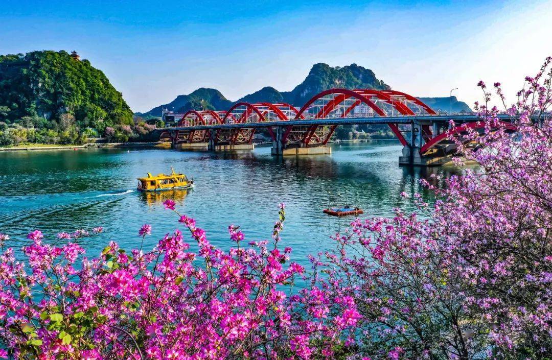 打造五好五美的柳州建设,使柳州生态绿化更美丽