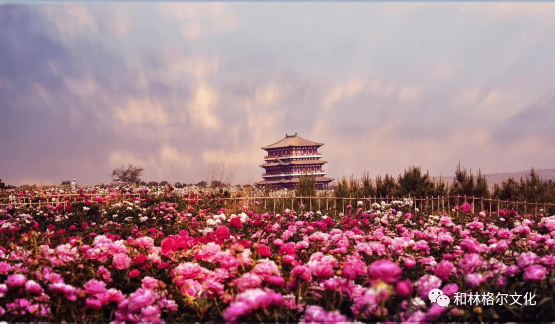 和林格尔旅游景点图片