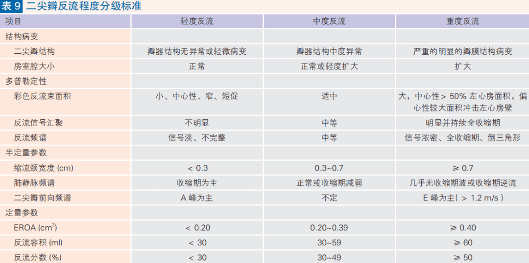 心脏瓣膜病表格图片