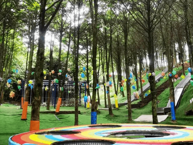 红豆杉谷景区,隐藏于山林间的网红打卡地!_巴南区_养生_佛手