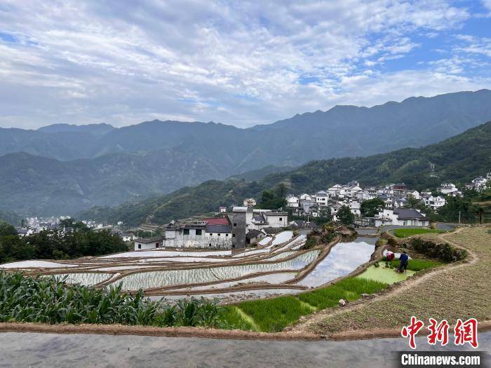 安徽歙县：高山层层梯田绘就农耕村居图