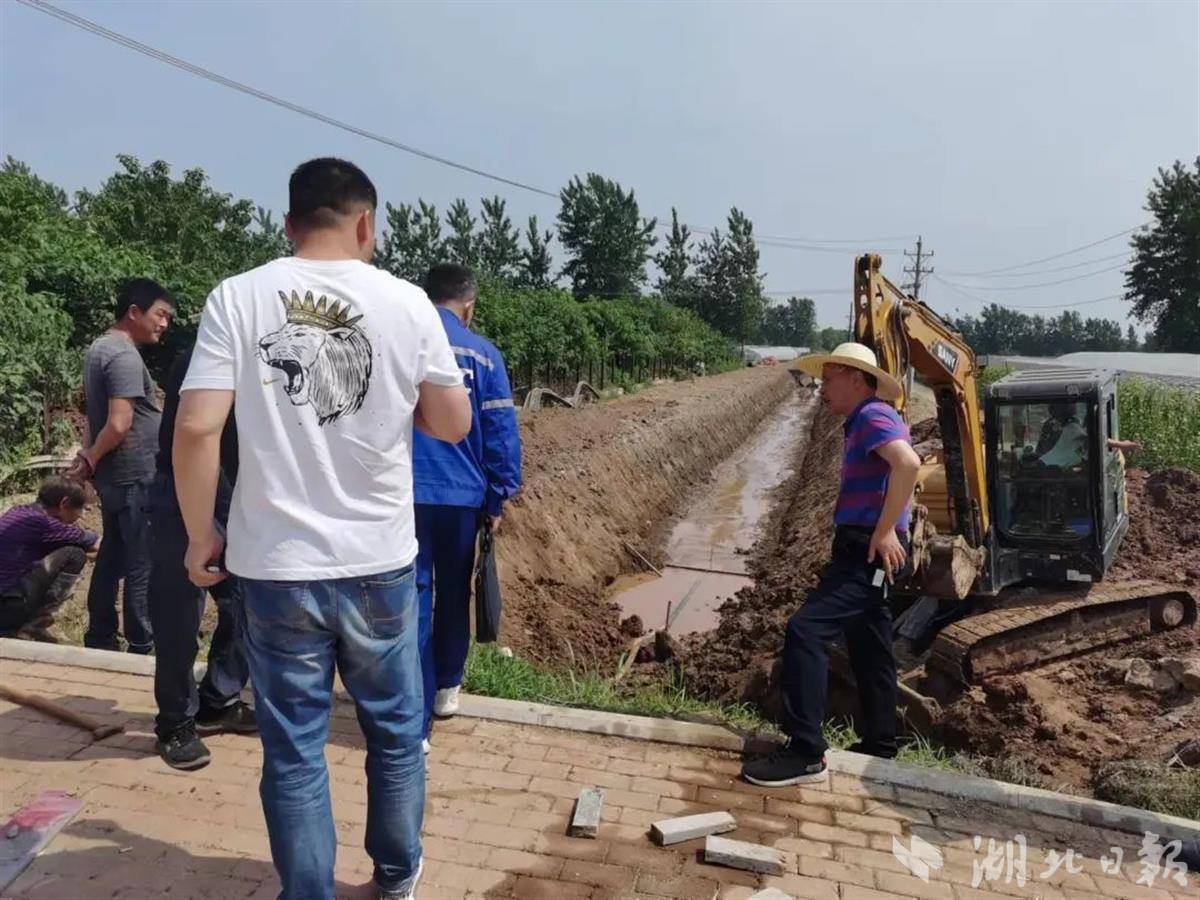 梅雨节来临前补短板新洲区人大代表助力解决千亩菜篮子渍水难题