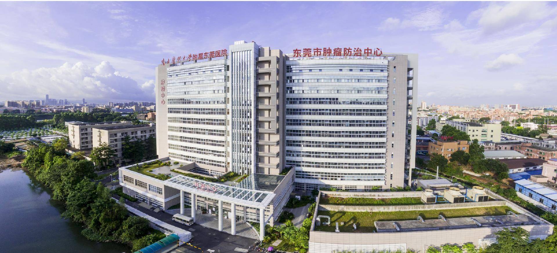 莞邑名医系列报道③东莞市人民医院肿瘤科主任贾筠致力肿瘤规范化治疗