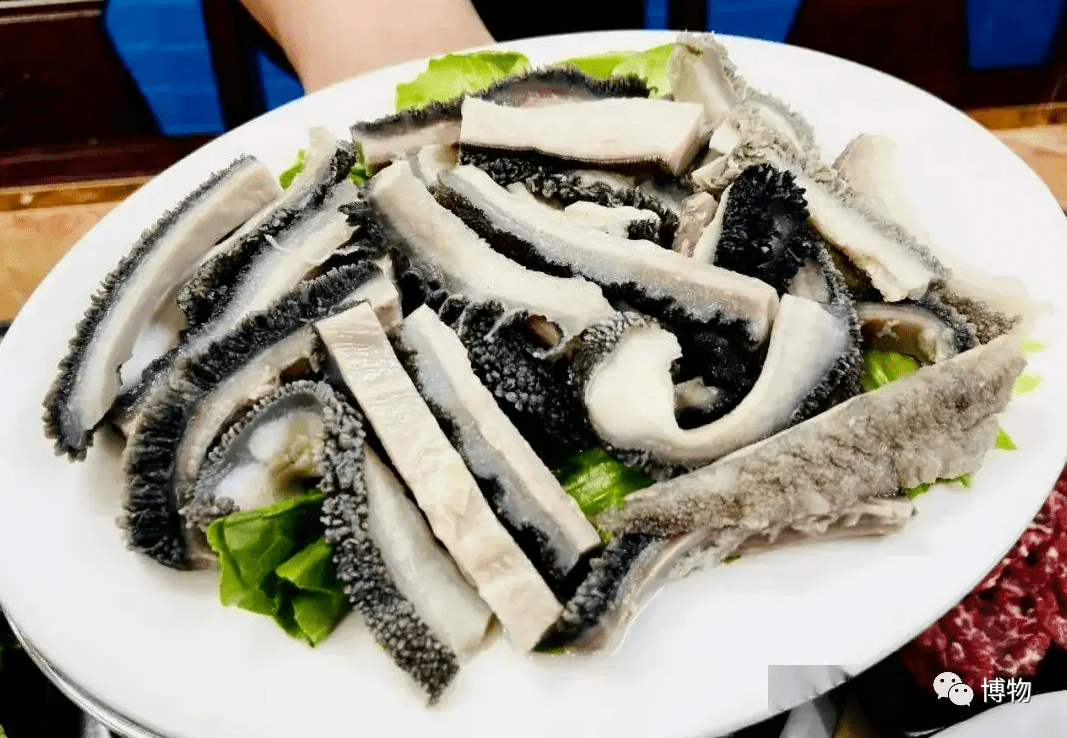 吃了这么多年烤鸡胗有人却说它是鸡屎包