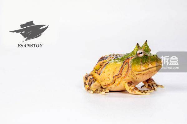 esanstoy艺尚 雨林探索 霸王角蛙 写实动物青蛙模型手办_cm_产品_高约