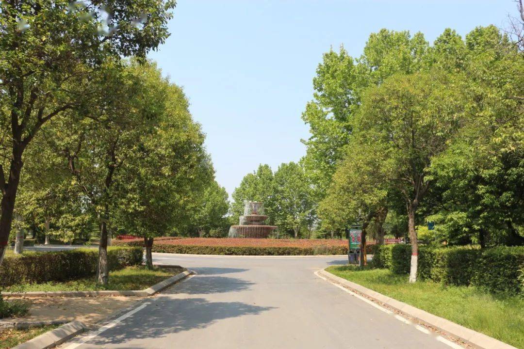 烧烤炉来丰乐农庄世外桃源般的秘境找个晴空万里的天气户外烧烤最棒的