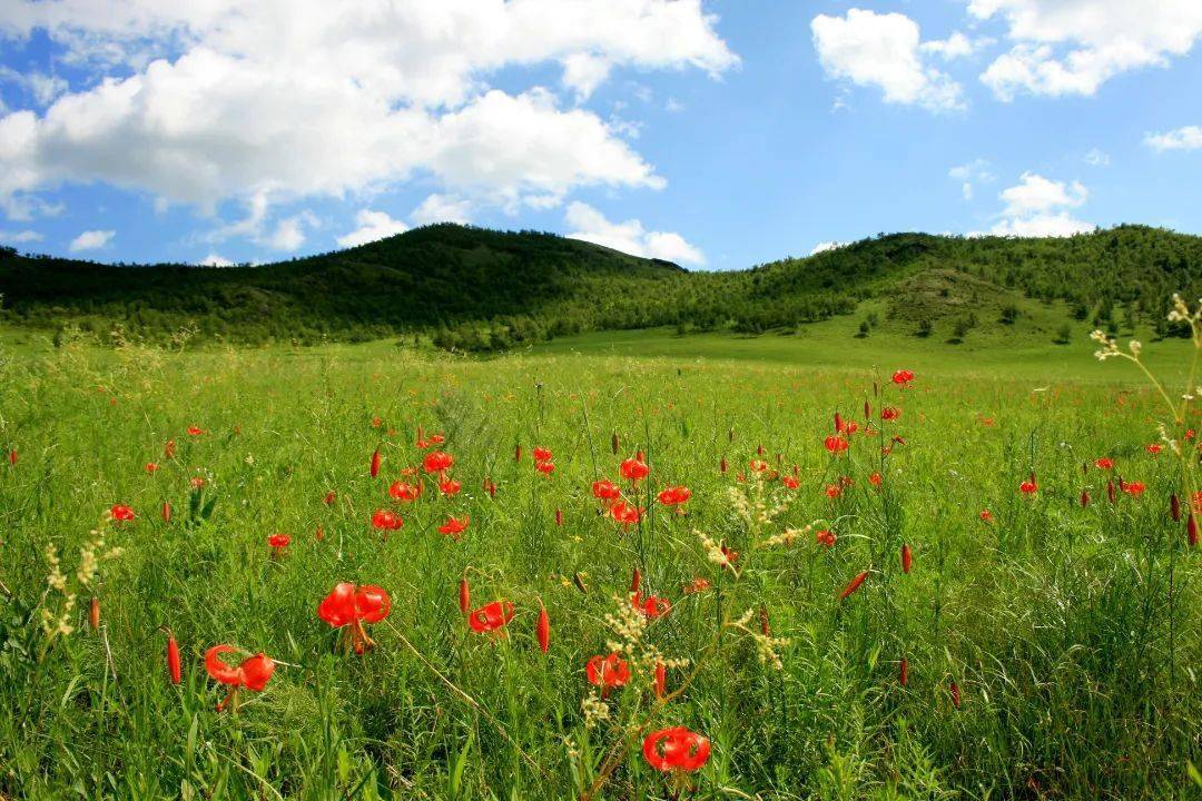 以梦为马不负韶华