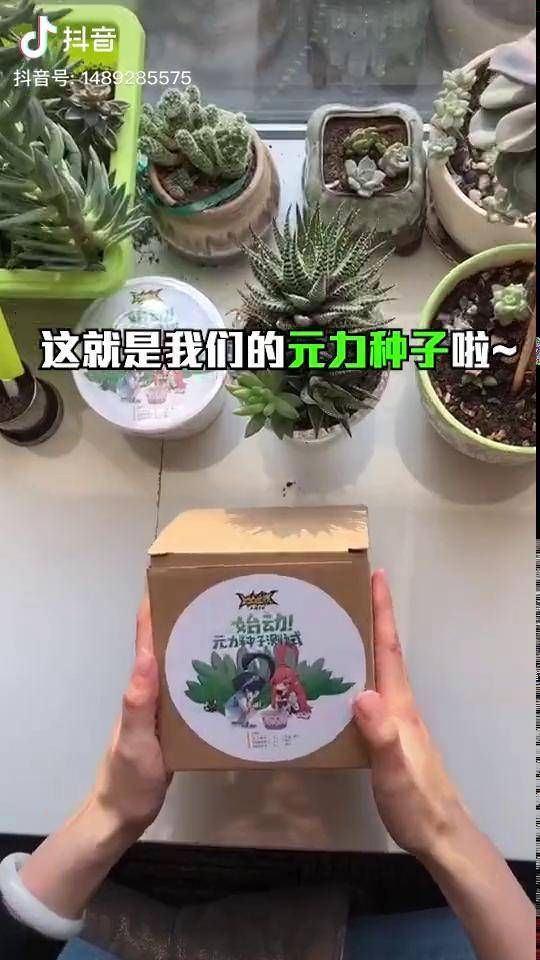 凹凸世界元力种子开箱视频来啦期待发芽收到的小天使们快种起来