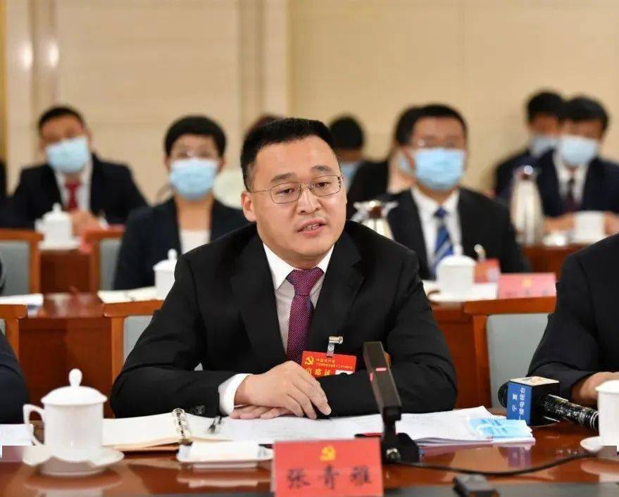 党代表声音丨张青雅在提升老城区更新改造品质上奋勇当先