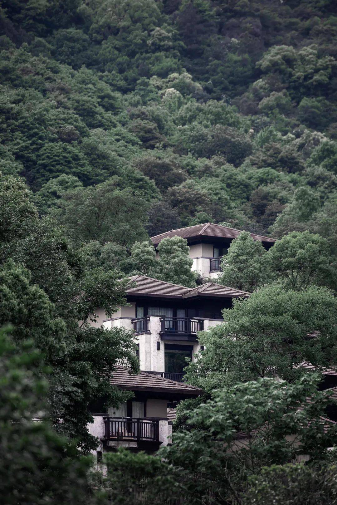 万科公望回望与收官