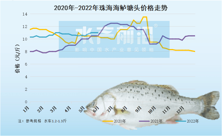 塘頭報價說明:上述價格及行情分析僅供參考,市場有風險,入市需謹慎