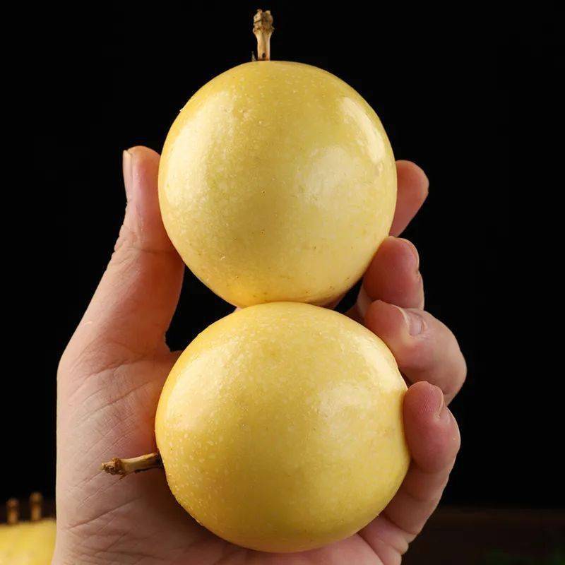 产地食材▎头茬黄金百香果自带蜂蜜味清爽解油腻