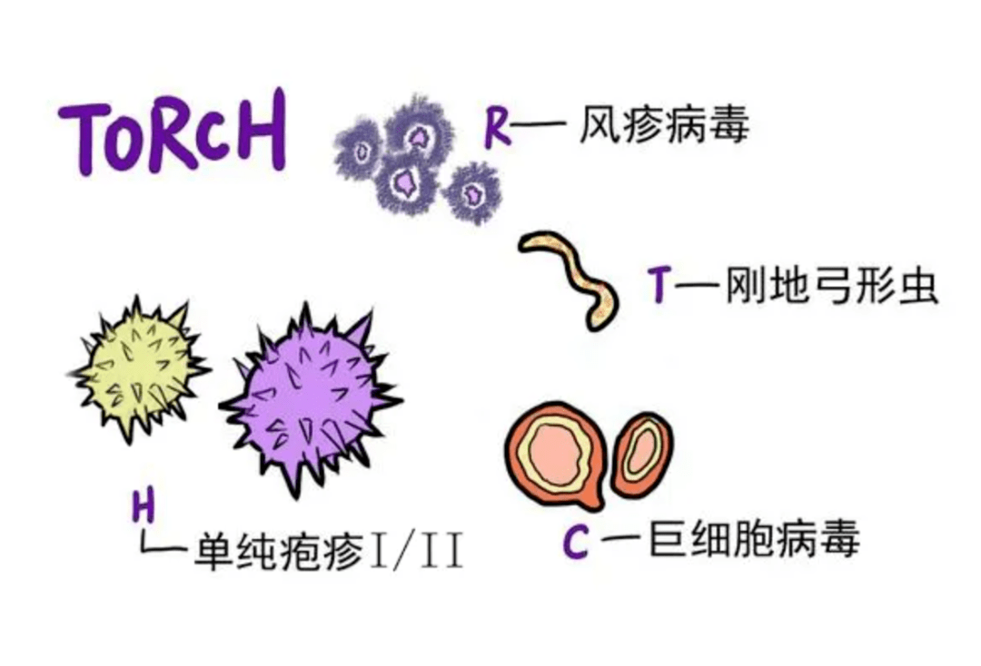 风疹病毒风疹病毒感染是一种以斑丘疹,淋巴结肿大和发热为特征的感染